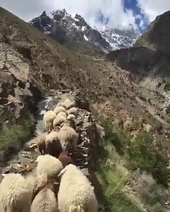 3.9K views · 215 reactions | Beauty of Gilgit Baltistan ❤️ | Pakistan Travel Guide | Facebook