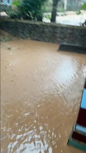 #mukbang #makansambel #rujak #makan #sambelcumiasin #food #mukbangjengkolmuda