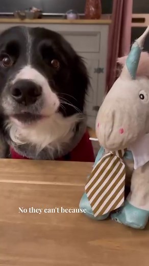 102K views · 3.4K reactions | A bit of lockdown parish council zoom meeting! Who remembers this viral  | TeamCasp47 | Facebook