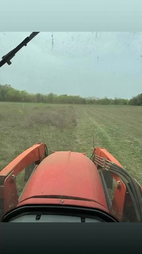 For efficient pasture shredding or brush clearing solutions, please contact Ronnie Evans Mulching and Land Clearing to discuss your specific requirements. 817-319-9698 | Ronnie Evans