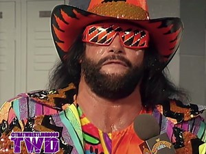 4K views · 97 reactions | THE PERFECT TAG TEAM I can dig the Perfect Tag Team.. WWF SURVIVOR SERIES - NOVEMBER 25, 1992 . . . . #machoman #mrperfect #wwesurvivorseties #randysavage #curthennig #survivorseries #machomanrandysavage #mrperfectcurthennig #worldwrestlingfederation #wwenetwork #90swrestling | That Wrestling Dood | Facebook