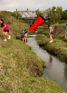 When Siblings Strike Out | DigitalMonkey