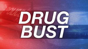 Detectives conduct undercover operation at adult bookstore in Horse Cave - WNKY News 40 Television