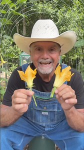 Male versus female flowers and pollination! #garden #gardening #gardentips #homestead #homesteading #homesteadlife #farm #farming #farmlife #foodie #farmtotable #permaculture #vegetables | PawPaw Ridge Homestead