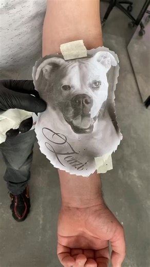 ✨DINSDAG✨ WE ZIJN ER V/A 11.00 Loop gewoon binnen voor advies of een kleine tattoo of sleeve. liever zeker van een plekkie app: 06-44444350 shop: 010-8700528 | Dutch Beauty Clinic | Facebook