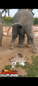 2M views · 3K reactions | #AbnormalHumans Credits:@abnormal.safari.experience | ABNORMAL HUMANS | Facebook