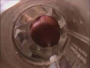 cumshots inside fleshlight compilation from xhamster users