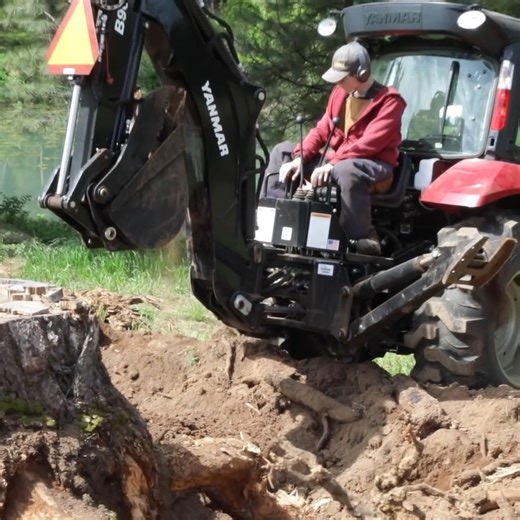 89K views · 309 reactions | Father and Son Take Out a 300-Year-Old Tree Stump 望 | Wranglerstar | Facebook