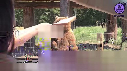 Pünktlich zum EM-Auftakt kommt unser Song für Manuel Neuer. Hört ihn euch schnell an, bevor der Reklamier-Arm hoch geht... 😂😋 | WUMMS