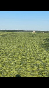 Dormeo, noapte bună 💤 | Madalin AGRO