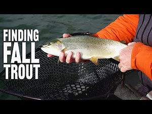 Targeting Fall Trout