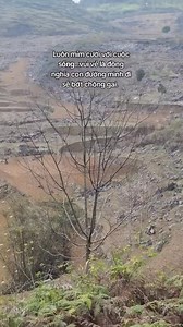 3K views · 66 reactions | Gian nan đâu bằng ý chí quyết tâm cao ngút ngàn ❤️ #NĐT #c8 | NGƯỜI VIỆT NAM | Facebook