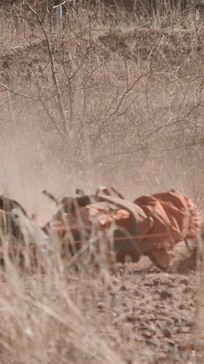 A one-of-a-kind test of durability 😅 Host @benjaminkielesinski and testers @urbanclimbr, @laurentaylorsteele, and @josiewhaler take three backpacks through the gauntlet to find the best value in the outdoors. Will the budget pack rule the day, is the baller pack worth the hefty price tag, or is the balanced pack the wise buy? Find out in 'Budget vs Baller', Streaming Free at the link in bio 🔗 #outsidewatch #getoutside #backpacker #backpack #backpacking #outdooradventures #hike #hiking #hikinga