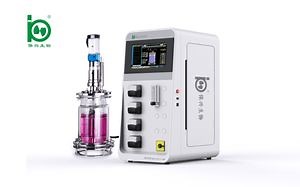 [Hot Item] Bx-Bio 2L Mciroorganism Culture Glass Lab Bioreactor