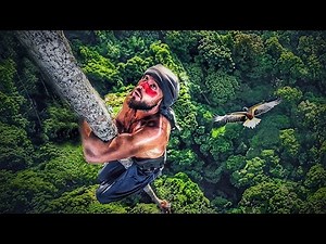 50m Freesolo Tree Climb in the Amazon Rainforest