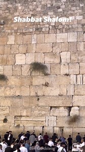Hear the Shofar at the Western Wall! Shabbat Shalom! ❤️🇮🇱 🇮🇱 www.UnityWarriors.com #goldsteinlive #Torah #shofar #Israeli #Jerusalem #jerusalemcity #yerushalayim #westernwall #Zion | Ben Goldstein