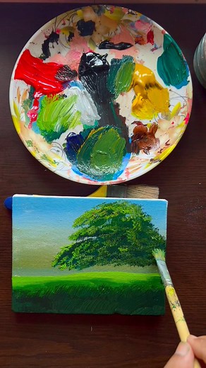 Cassia javanica | SKC Gallery