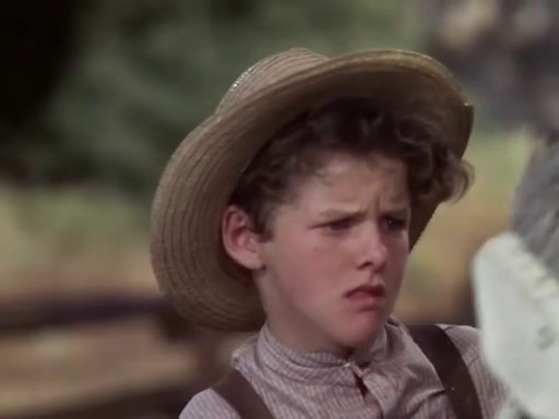 The Adventures of Tom Sawyer 1938 | First movie version of the book