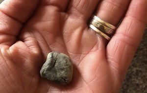 ‘I’ve got my boy back’: sheath bean removal transforms horse’s life - Horse & Hound