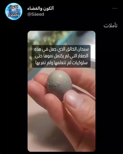 19K views · 149 reactions | تاملات #الكون_والفضاء_عالمنا | الكون والفضاء | Facebook