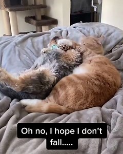 So cute!!! | Alyssa Milano