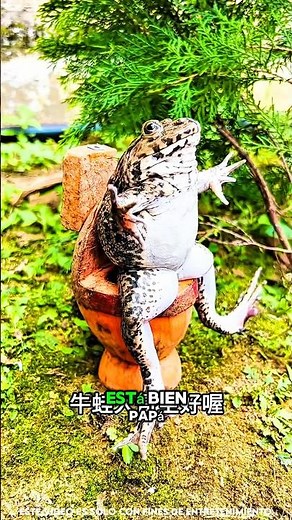 ¡Problemas en la prisa de la mañana!😅🎒🚽⏰