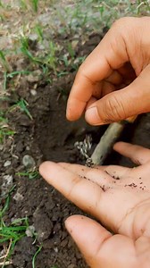 13K views · 74 reactions | Awesome Pinpoint Detector! Silver bracelet found in the backyard. #metaldetector | GO finder | Facebook