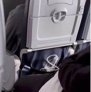 The Water Bottle In The Seat Back Pocket Was Bubbling - It Was A Tank For Live Fish! - View from the Wing