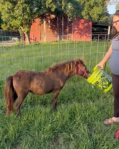 With the red boots on | Shirtless Jake's Homestead