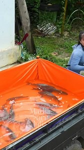 hard working woman | Marlia Sari