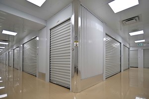 [Hot Item] Janus 650 Series Manual Lift Self Storage Roller Shutter Door for Warehouse