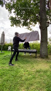 Vanishing Woman !! #magician #woman #vanish | Julien Magic