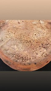 2.7K views · 15 reactions | 燎Forbidden Cheese - Casu Marzu, Also...