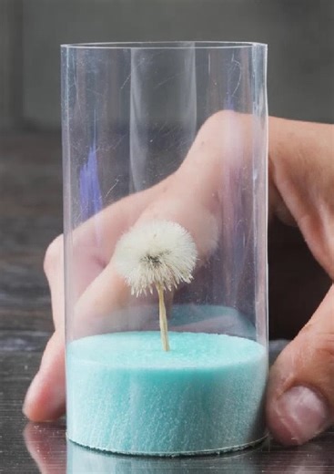 The Beauty of Nature-Inspired Jewelry Designs | 5-Minute Crafts Family