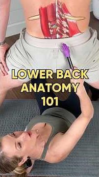 Anatomy of Lower Back Including Disc herniation and sciatica #shorts #anatomy