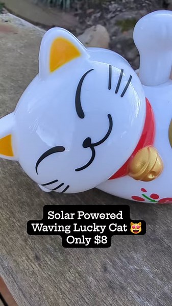 Waving Lucky Cat 😻 Solar Powered!! Only $8 #weship #catloversclub #luckycat #madeintheshadejefferson #jeffersonshippiestore | Made in the Shade