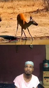 🌹🌹`°NUKUU YA LEO`🌹🌹 Unaweza kukosea sana kwenye eneo moja la maisha na ukafanya vizuri sana kwenye maeneo mengine. Kosa moja lisikutie unyonge. Unaweza kuwa na historia ya makosa, tena mabaya, na bado ukawa mtu mwingine tofauti kabisa. `Historia ni shule sio gereza. . #lifestyle #life #yangasc #simbasctanzania #wasafimedia #cloudstv #funny #fun #bonyeza #bonyeza_click #reel | Wild Black