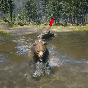 26K views · 203 reactions | Crocodile Attacks Wild Grizzly Bear | Gameroom | Facebook