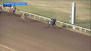 11K views · 402 reactions | Keeneland Sales graduate TX WOMEN FOR ARTS ($7.60) battled back down the lane and won the $100,000 Prairie Gold Lassie at Prairie Meadows. Coolmore America's Practical Joke sired this 2yo filly. She was trained by Steve Asmussen and ridden by Ricardo Santana, Jr.! Congrats!  | FanDuel Racing | Facebook