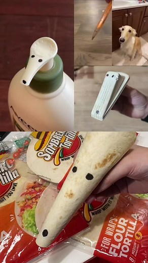 Sombrero Tortilla على TikTok