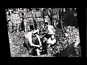 The Nanking Massacre