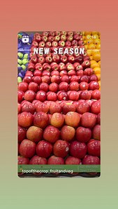 Sydney Markets on Reels