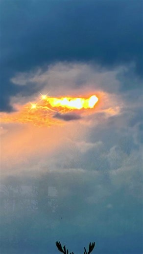 Quentin West on TikTok