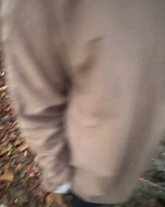 The Sloth Conservation Foundation on Reels