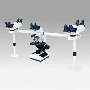[Hot Item] Professional Laboratory Multi-Veiwing Microscope Yx-N510 Teaching Microscope