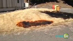 2.3K views · 24 reactions | True or False: Fireworks burn hot enough...