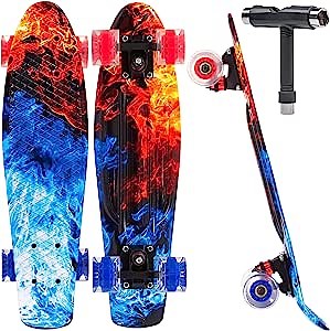 22" Complete Mini Cruiser Skateboard for Beginners Youths Teens Girls Boys