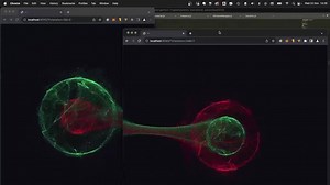 "LocalStorage is a boring API" Bjorn Staal shows otherwise. When he moved the 2nd browser window on top of the other one, I fell unconscious. The code has not been released yet. #javascript #webdevelopment #website #programming | The Geeky Asian
