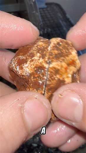 7.6K views · 193 reactions | Beautiful orange banded agate! #agate #rockhound #geology | Kaines Crystals | Facebook