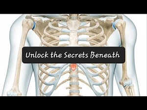 Anatomy 101: Surface Landmarks Unveiled